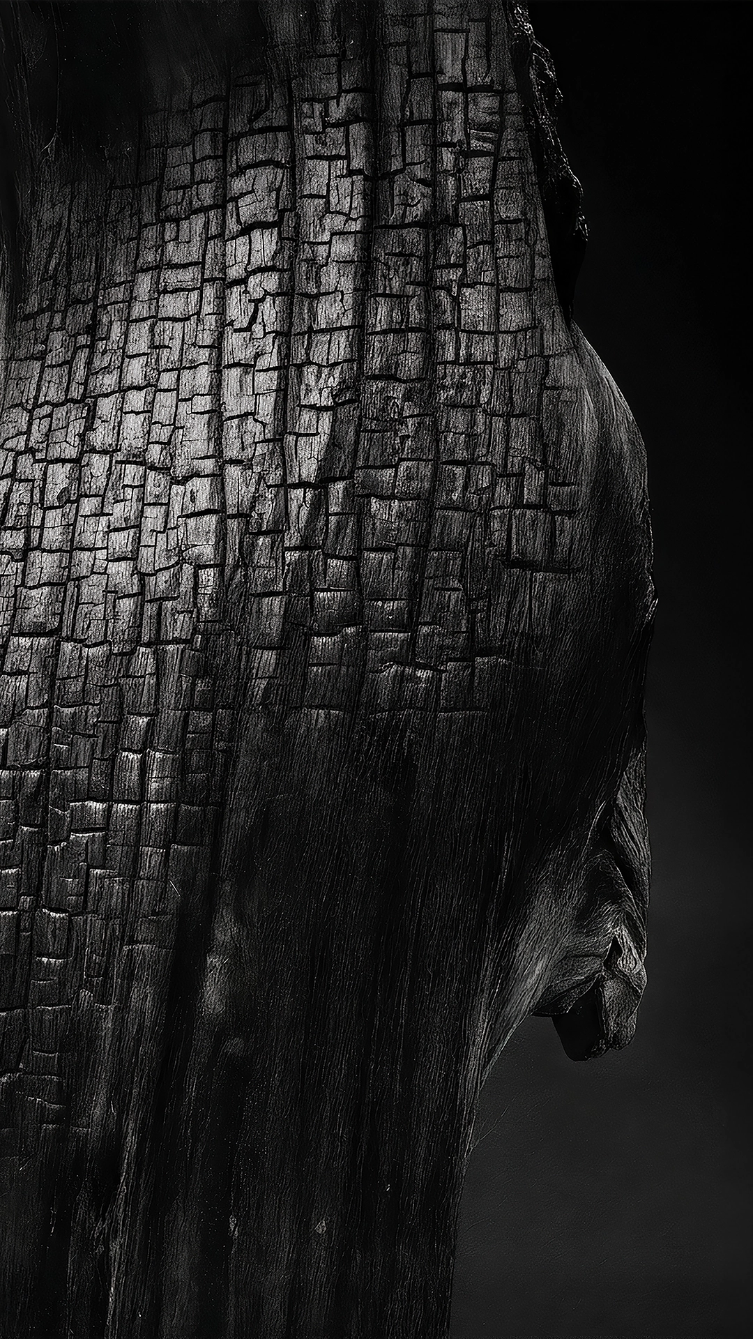 Detalhe de madeira carbonizada