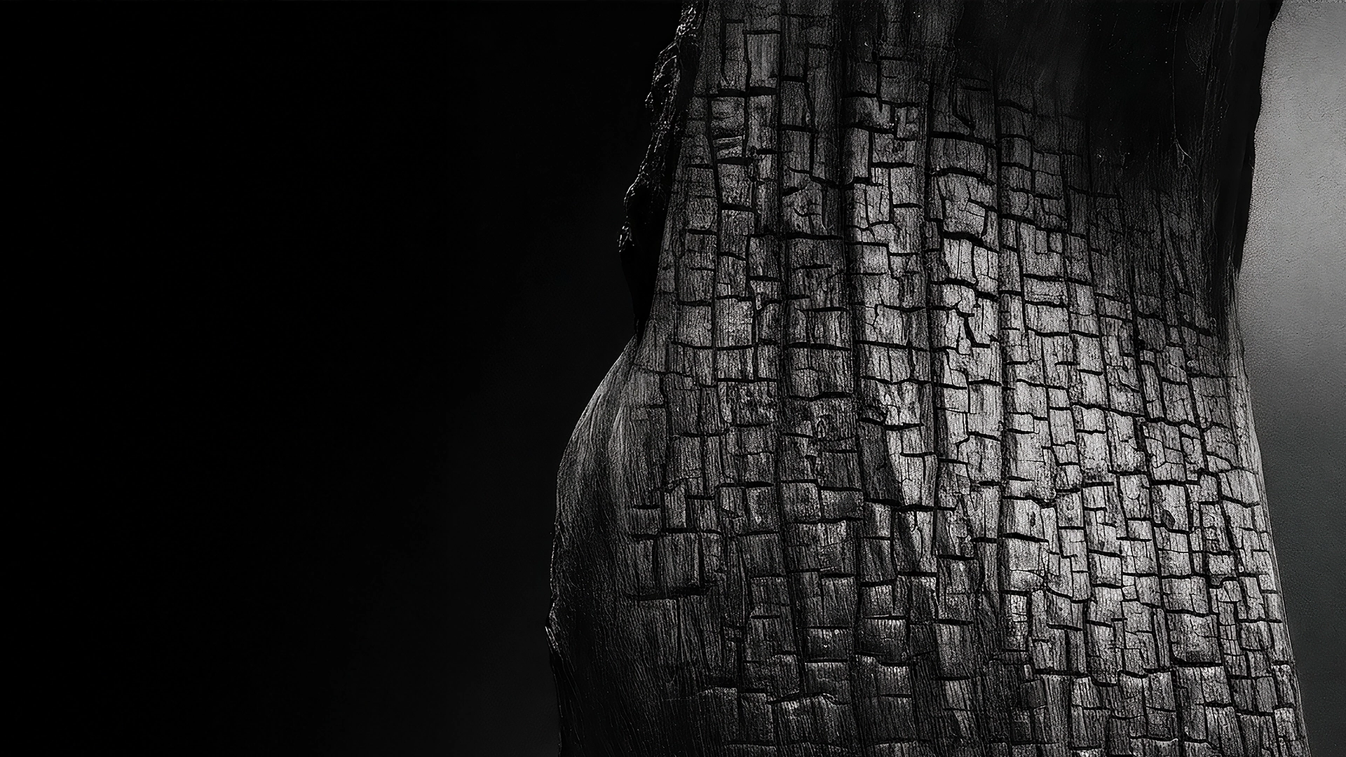 Detalhe de madeira carbonizada